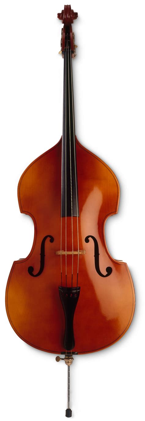 Double bass PenalbaWeb.com