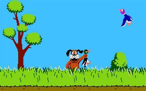 Duck hunt PenalbaWeb.com