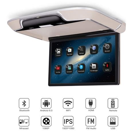 Dvd techo coche PenalbaWeb.com