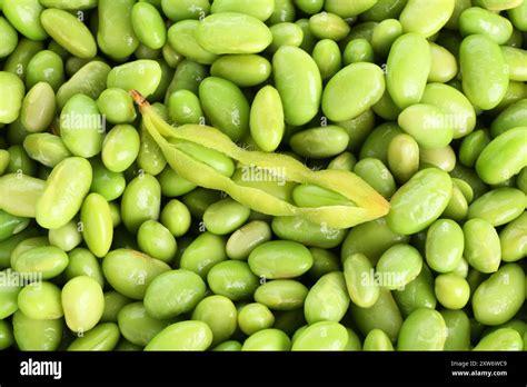 Edamame PenalbaWeb.com