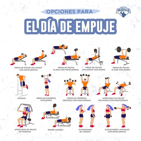 Ejercicios musculacion PenalbaWeb.com