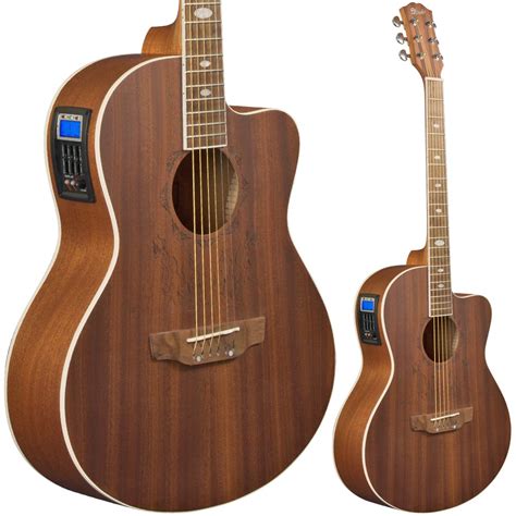 Electro acoustic guitar PenalbaWeb.com