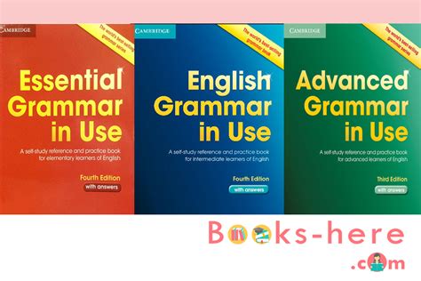 English grammar in use PenalbaWeb.com