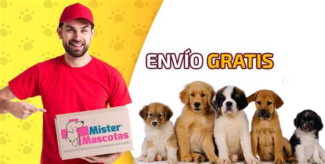 Envio mascotas PenalbaWeb.com