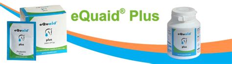 Equaid PenalbaWeb.com