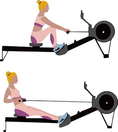 Ergometro PenalbaWeb.com