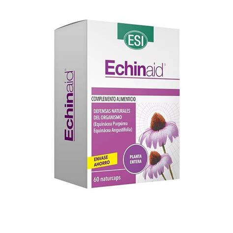 Esi echinaid PenalbaWeb.com