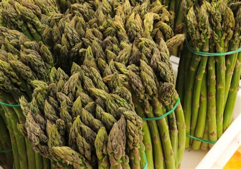 Esparrago PenalbaWeb.com