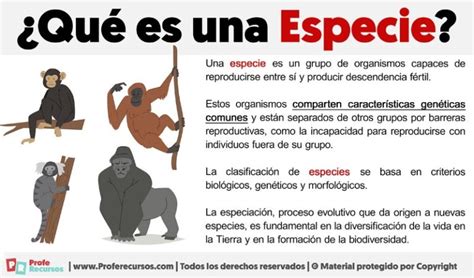 Especie PenalbaWeb.com
