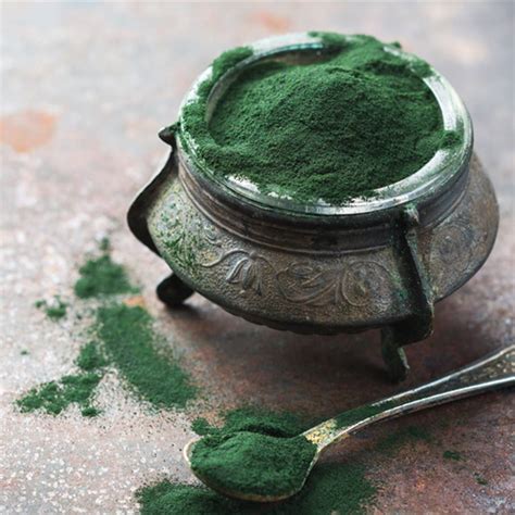 Espirulina PenalbaWeb.com