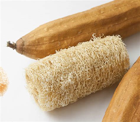 Esponja de lufa PenalbaWeb.com