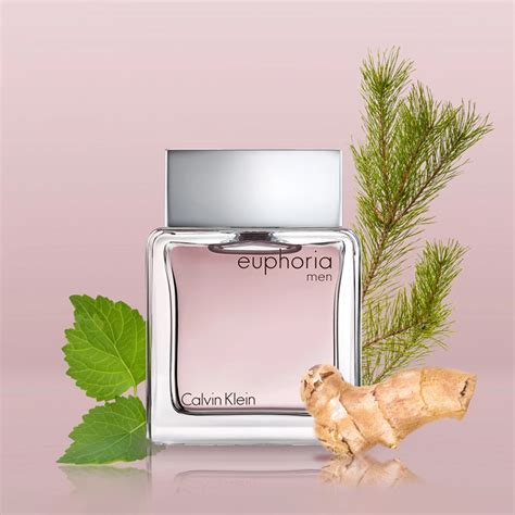 Euphoria edt PenalbaWeb.com