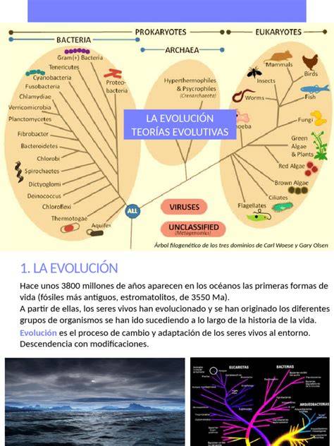 Evolutiva PenalbaWeb.com