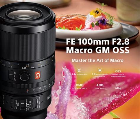 F2 macro PenalbaWeb.com