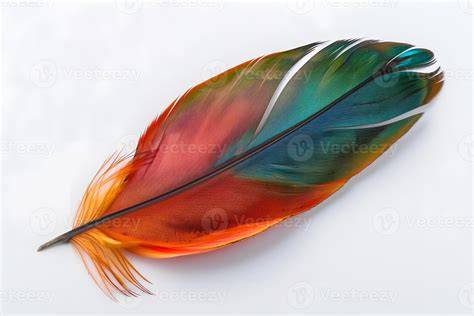 Feather PenalbaWeb.com