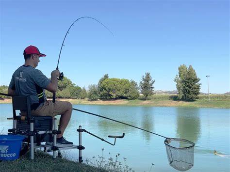 Feeder pesca PenalbaWeb.com