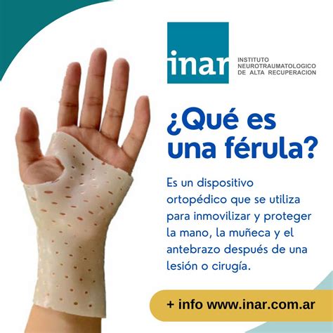 Ferula PenalbaWeb.com