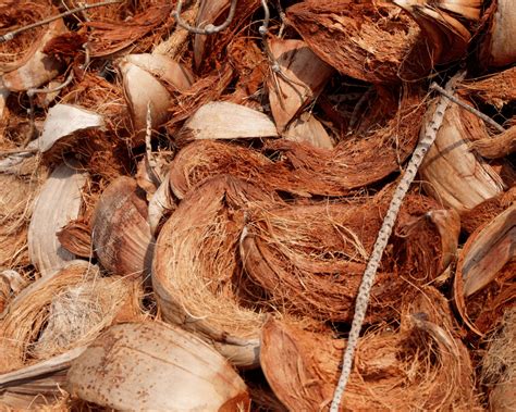 Fibra de coco PenalbaWeb.com