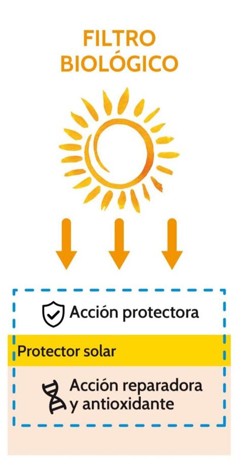 Filtros protector PenalbaWeb.com