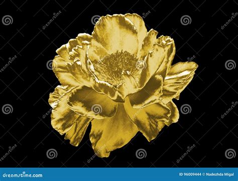 Flor oro PenalbaWeb.com