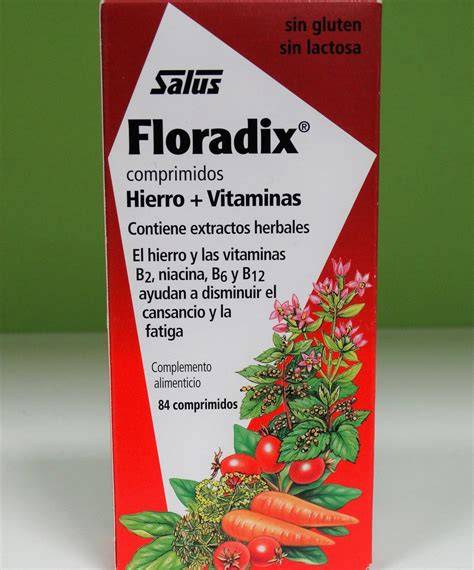Floradix hierro PenalbaWeb.com