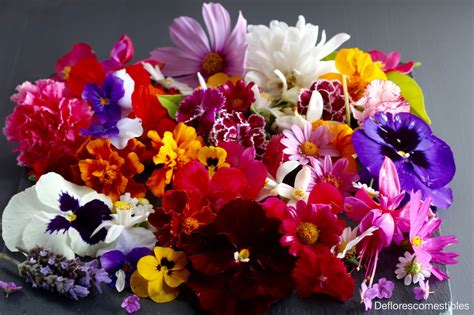 Flores comestibles PenalbaWeb.com