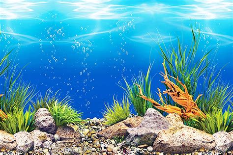 Fondo acuario PenalbaWeb.com