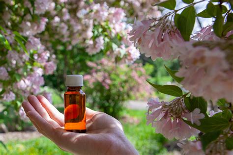 Fotos flores bach PenalbaWeb.com