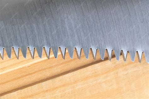 Fotos hoja sierra PenalbaWeb.com