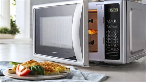 Fotos horno microondas PenalbaWeb.com