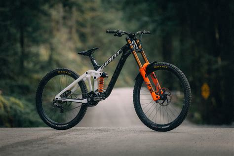 Fox dh PenalbaWeb.com
