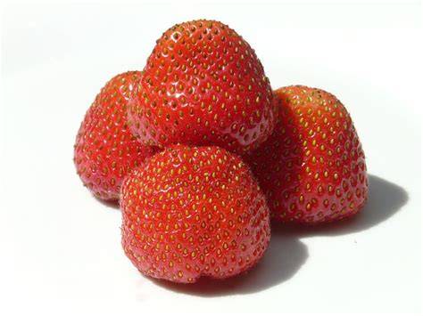 Fresa PenalbaWeb.com