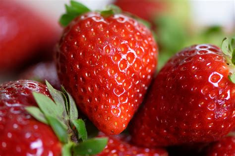 Fresas PenalbaWeb.com