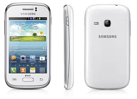 Galaxy young s6310 PenalbaWeb.com