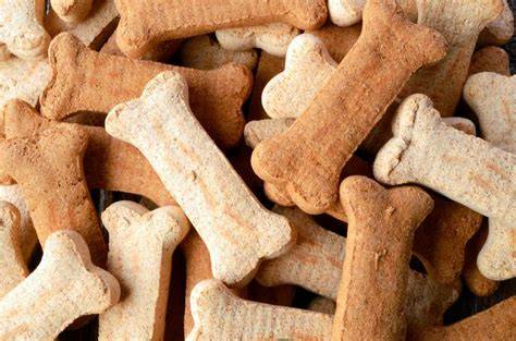 Galletas perro PenalbaWeb.com