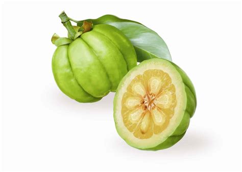 Garcinia cambogia PenalbaWeb.com