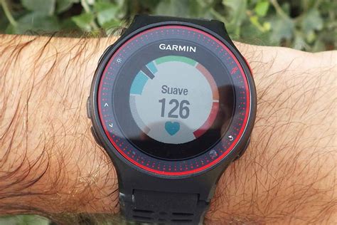 Garmin 225 PenalbaWeb.com