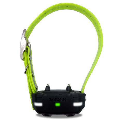 Garmin collar PenalbaWeb.com