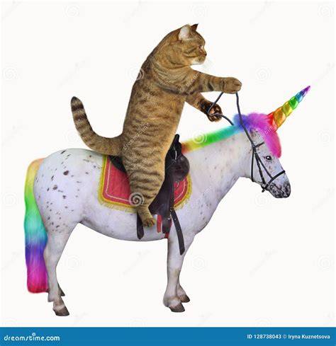 Gato monta PenalbaWeb.com