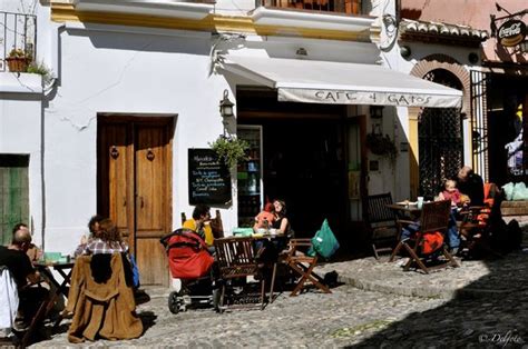 Gatos granada PenalbaWeb.com