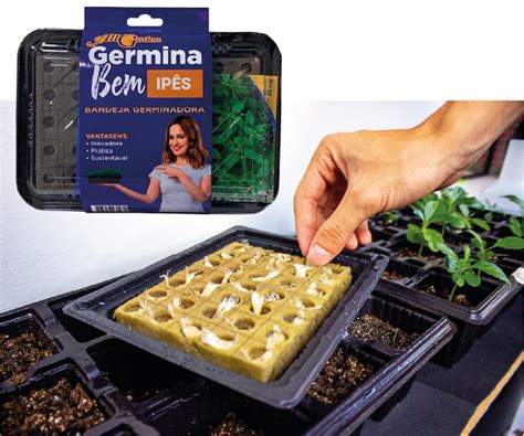 Germinadora PenalbaWeb.com