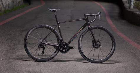 Giant tcr PenalbaWeb.com