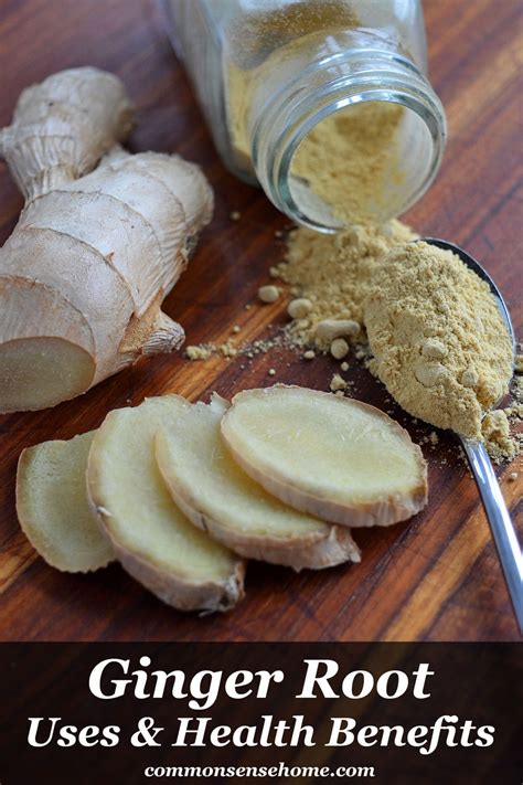 Ginger root PenalbaWeb.com
