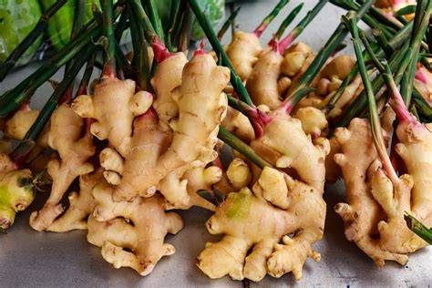 Ginger PenalbaWeb.com