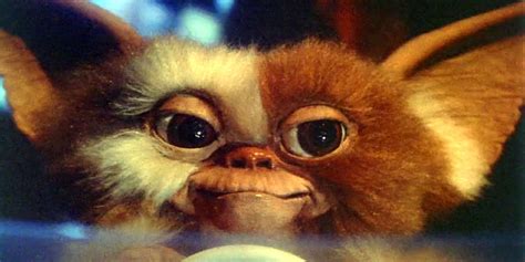 Gizmo gremlins PenalbaWeb.com