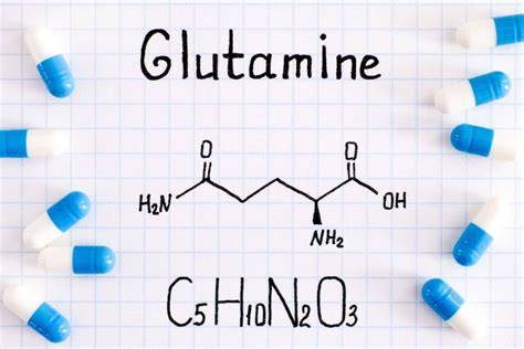 Glutamina PenalbaWeb.com