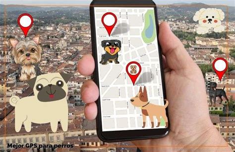 Gps perros PenalbaWeb.com