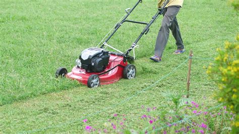 Grass cutting PenalbaWeb.com