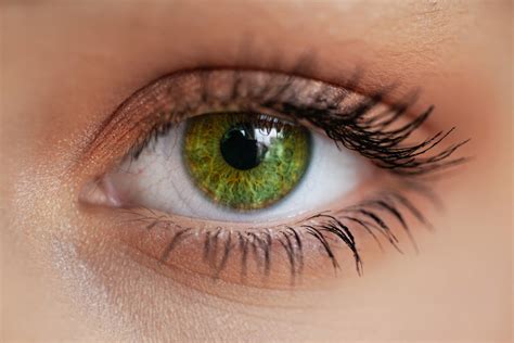 Green eyes PenalbaWeb.com