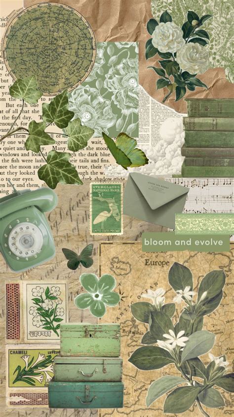 Green vintage PenalbaWeb.com